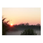 Kentucky Morning Mist Poster