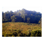 Kentucky Mountains Print