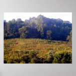 Kentucky Mountains Print
