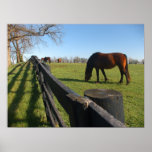 Kentucky Thoroughbreds Print