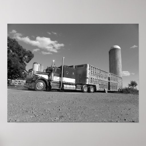 Kenworth A Model Livestock Hauler (black & white) Print