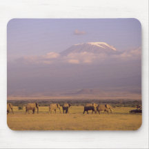 Kenya: Amboseli National Park, elephants and Mouse Pad