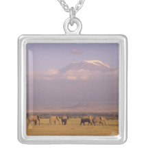 Kenya: Amboseli National Park, elephants and Pendants