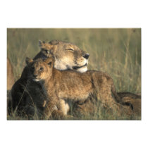 Kenya, Masai Mara Game Reserve, Lioness