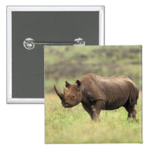 Kenya, Nairobi National Park. Black Rhinoceros Pinback Buttons