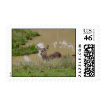 Kenya postage