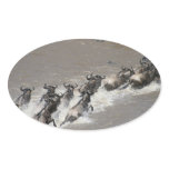 kenya wildebeest run sticker