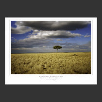 Kenyan Savannah Print posters