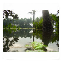 Kerala..God's Own Country posters