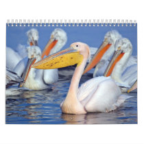 Kerkini Life calendars