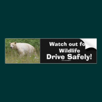 Kermode Spirit Bear Bumpersticker bumper stickers