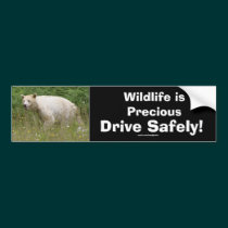 Kermode Spirit Bear Driver Safety Bumpersticker bumper stickers