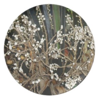 Kerriodoxa Elegans Palm Plate plate
