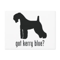 Kerry Blue Terrier Post Cards