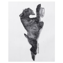 Kerry Blue Terrier with Bowl Custom Flyer