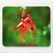 Kerry Fuschia Mousepad