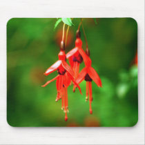 Kerry Fuschia Mousepad by Irishdreams Kerry Fuschia Mousepad