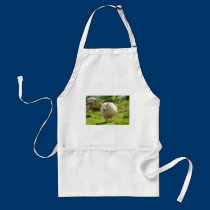 Kerry Sheep on Ring of Kerry aprons