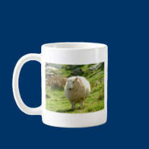 Kerry Sheep on Ring of Kerry mugs