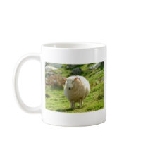 Kerry Sheep on Ring of Kerry Mug