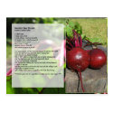 Kerstin's Beet Borscht Recipe Postcard