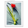 Kerstin's Red Tulip Card