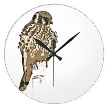 Kestral Bird Wall Clock