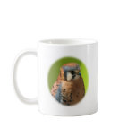 Kestrel_1739 Kestrel_1739