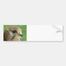 kestrel bumper sticker