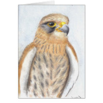 Kestrel cards