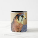 Kestrel Cup mugs by johncleck Kestrel Cup mugs