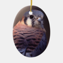 kestrel, falcon christmas tree ornaments