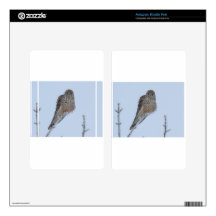 Kestrel Kindle Fire Skin
