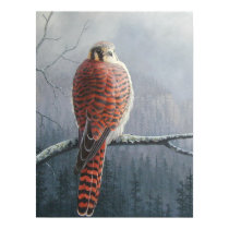 Kestrel posters