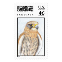 Kestrel Stamp by Housh68 Kestrel Stamp