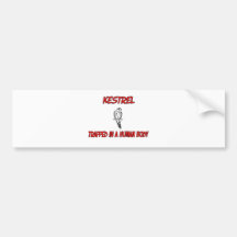 Kestrel trapped in a human body bumper sticker