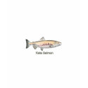 Keta Salmon (titled) shirt