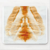 Ketchup Blot, Ketchup, Copyright 2001 Aaron J. ... mousepads