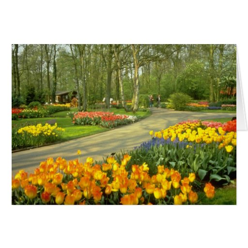 Keukenhof amarillo cultiva un huerto cerca de Haar Tarjetas