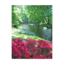 Keukenhof garden - Holland postcard