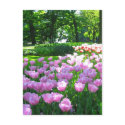 Keukenhof garden - Holland postcard