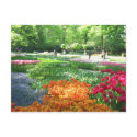 Keukenhof garden - Holland postcard by cycreation Keukenhof garden - Holland postcard