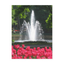 Keukenhof garden - Holland postcard