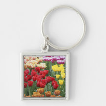 Keukenhof Gardens, Holland, specializes in 2 Key Chain