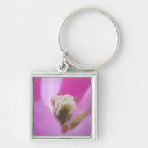 Keukenhof Gardens, Holland, specializes in 3 Key Chain