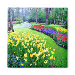 KEUKENHOF GARDENS, LISSE HOLLAND FRIDGE MAGNET