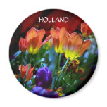 KEUKENHOF GARDENS, LISSE HOLLAND magnets