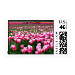 KEUKENHOF GARDENS, LISSE HOLLAND postage