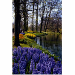 Keukenhof Gardens, Lisse, Netherlands Photo Cut Outs