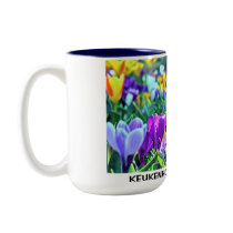 KEUKENHOF LISSE HOLLAND mugs